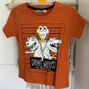 T-shirt Pomarańcz Dino Wanted, 98/104